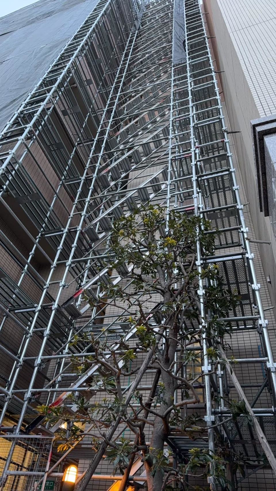 line_album_%e5%a4%a7%e8%a6%8f%e6%a8%a1%e4%bf%ae%e7%b9%95%e2%91%a1%e3%80%80%e3%81%8b%e3%81%aa%e3%82%8a%e5%86%99%e7%9c%9f%e5%a4%9a%e3%82%81%e4%bd%bf%e7%94%a8%ef%bc%86%e5%88%86%e5%89%b2%e5%b8%8c%e6%9c%9b